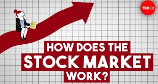 How the Stock Market works?